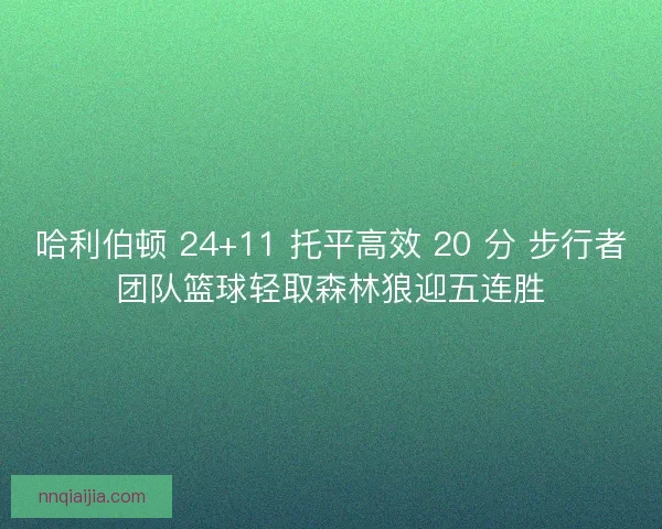 哈利伯顿 24+11 托平高效 20 分 步行者团队篮球轻取森林狼迎五连胜